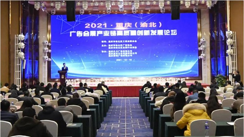零基础入门平面设计：从工具到技巧，一步步掌握